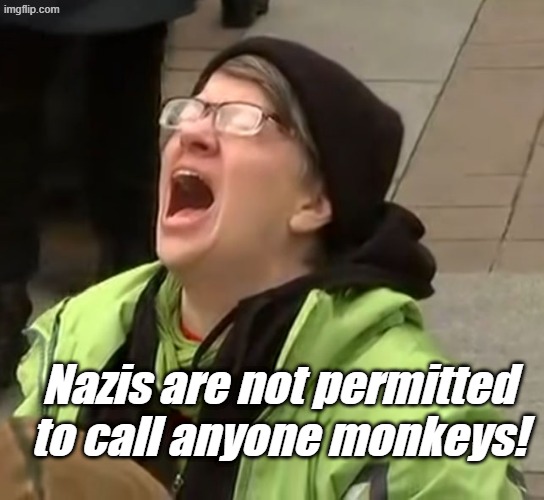 Nazis aren't allowed to be name callers! Fascists!!! | Nazis are not permitted to call anyone monkeys! | image tagged in snowflake | made w/ Imgflip meme maker