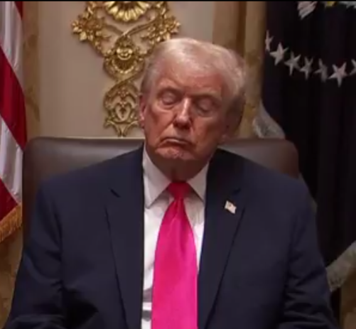 Dozing Donald Trump Blank Meme Template
