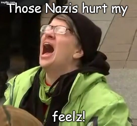 snowflake | Those Nazis hurt my feelz! | image tagged in snowflake | made w/ Imgflip meme maker