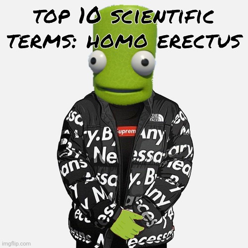 epilektoi drip | top 10 scientific terms: homo erectus | image tagged in epilektoi drip | made w/ Imgflip meme maker