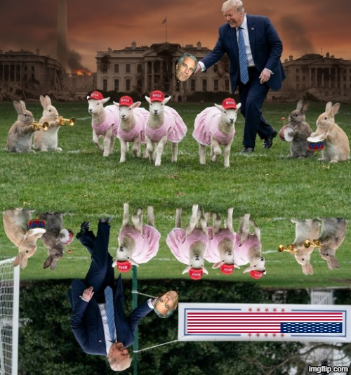 1/2 TIME | image tagged in halftime,football,nfl football,trump,jeffrey epstein,epstein | made w/ Imgflip meme maker