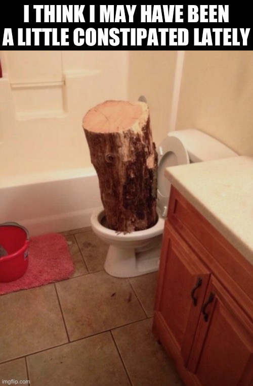 May need to reduce eating some spicy food for the next 12 weeks | I THINK I MAY HAVE BEEN A LITTLE CONSTIPATED LATELY | image tagged in msmg,constipation,what the hell is this,wood | made w/ Imgflip meme maker
