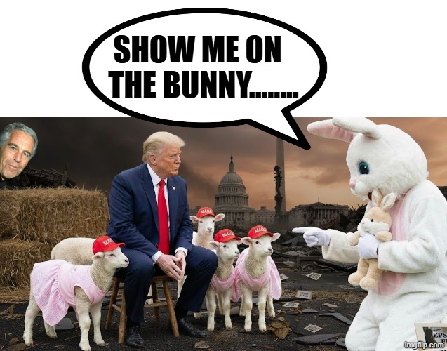 SHOW ME ON THE BUNNY...... | SHOW ME ON   THE BUNNY........ | image tagged in trump,jeffrey epstein,epstein,make america great again,nfl football,halftime | made w/ Imgflip meme maker