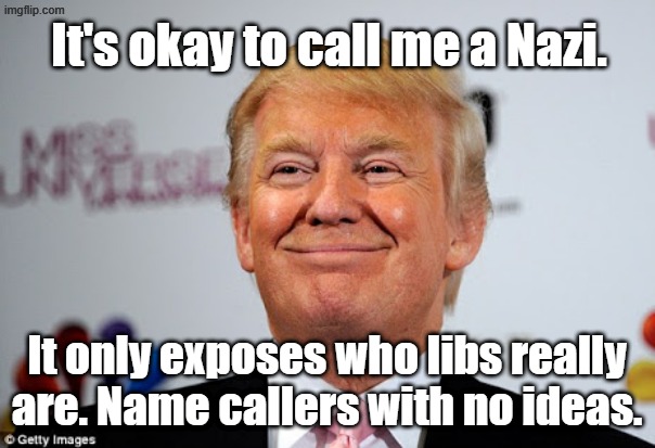 Donald trump approves | It's okay to call me a Nazi. It only exposes who libs really are. Name callers with no ideas. | image tagged in donald trump approves | made w/ Imgflip meme maker