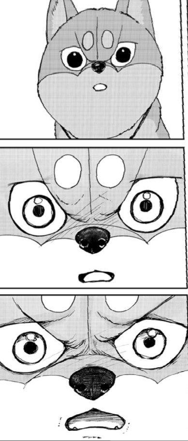 increasingly emotional manga dog Blank Meme Template