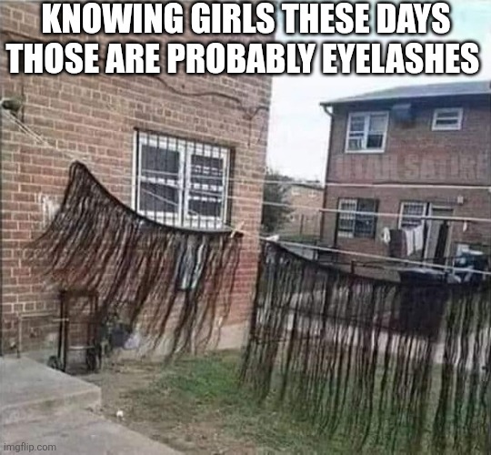 Knowing Girls These Days Those Are Probably Eyelashes | KNOWING GIRLS THESE DAYS THOSE ARE PROBABLY EYELASHES | image tagged in chrisjoines1 | made w/ Imgflip meme maker