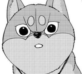 Emotional Shiba 1 Blank Meme Template