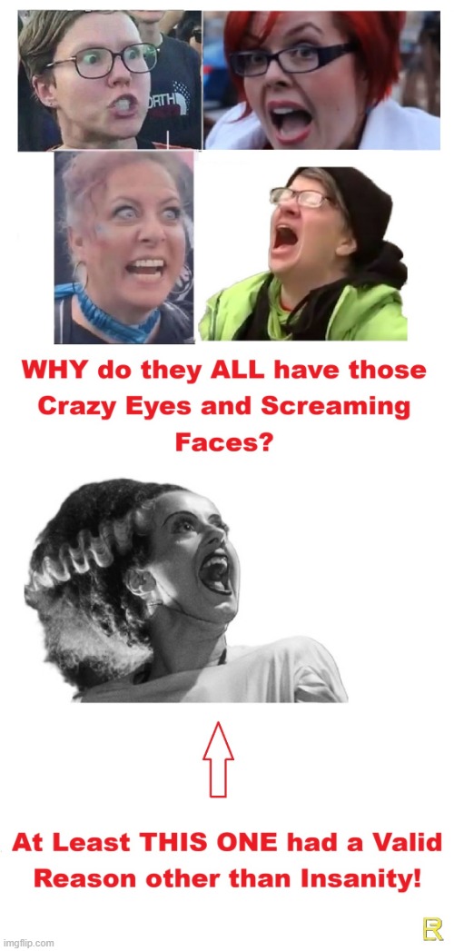 Crazy Eyes! (c) | image tagged in liberal,lunatic,morons,democrats | made w/ Imgflip meme maker