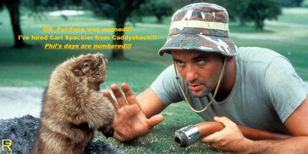 The Rodent ASKED for it! | image tagged in punxsutawney phil,bill murray,winter,revenge | made w/ Imgflip meme maker