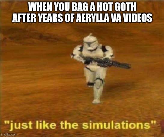 Just like the simulations | WHEN YOU BAG A HOT GOTH AFTER YEARS OF AERYLLA VA VIDEOS | image tagged in just like the simulations | made w/ Imgflip meme maker