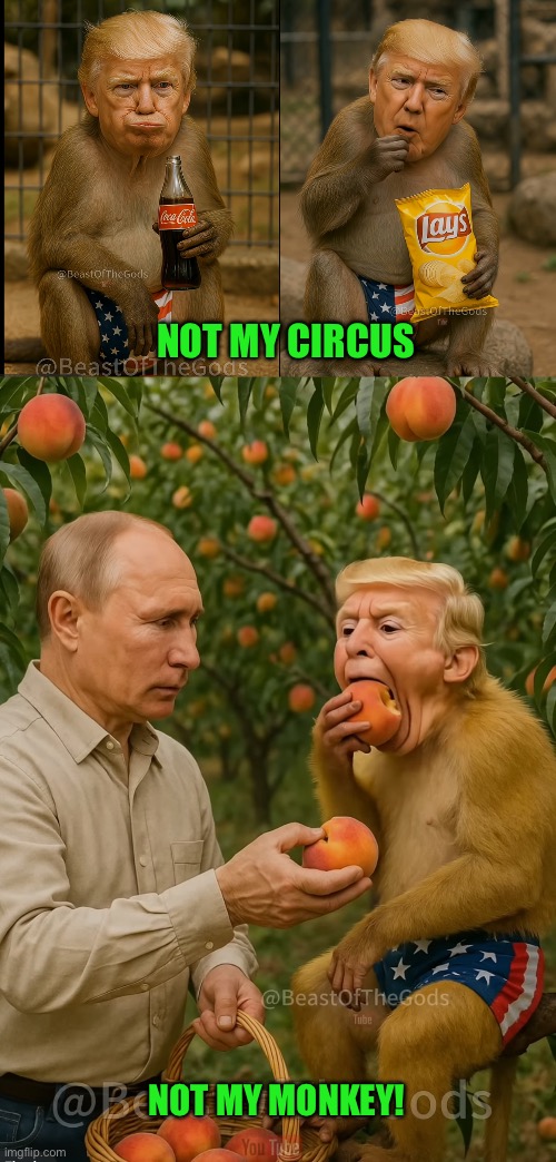 NOT MY CIRCUS; NOT MY MONKEY! | made w/ Imgflip meme maker