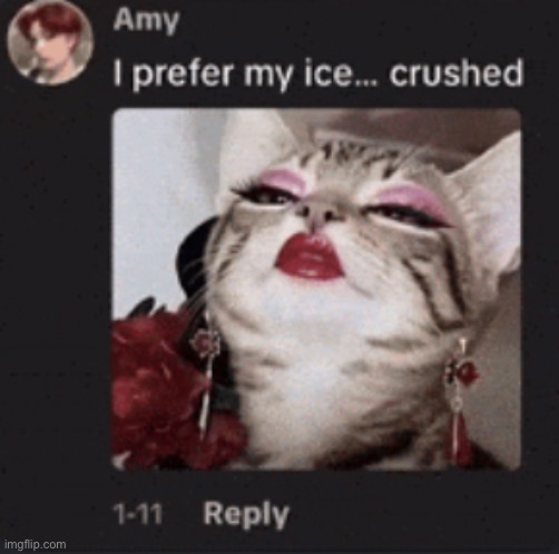 when i get 200 pumped by the gestapo but it’s okay because 16 year old girls will larp as “divas” on tt to clown on my killers | made w/ Imgflip meme maker