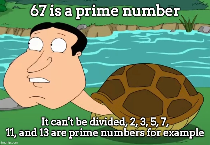 Quagtle | 67 is a prime number; It can't be divided, 2, 3, 5, 7, 11, and 13 are prime numbers for example | image tagged in quagtle,67 | made w/ Imgflip meme maker