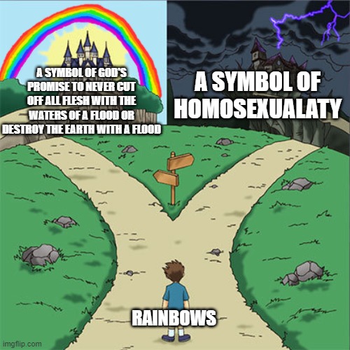 Two Things Rainbows Symbolize | A SYMBOL OF GOD'S PROMISE TO NEVER CUT OFF ALL FLESH WITH THE WATERS OF A FLOOD OR DESTROY THE EARTH WITH A FLOOD; A SYMBOL OF HOMOSEXUALATY; RAINBOWS | image tagged in two paths,memes,flood,rainbow,rainbows,colors | made w/ Imgflip meme maker