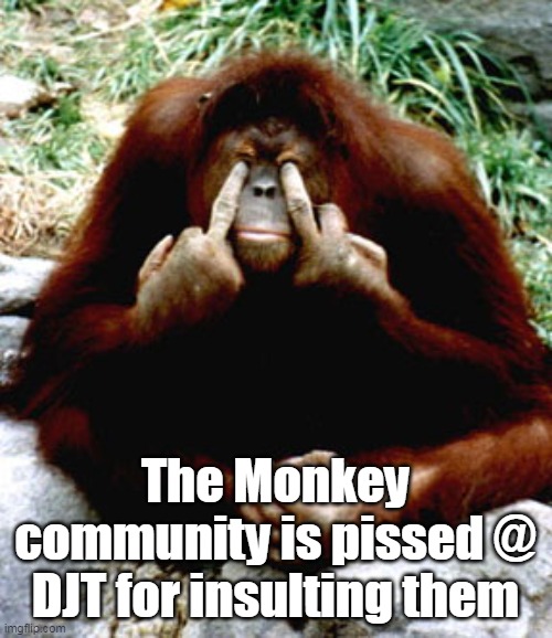 The Monkey community is pissed @ DJT for insulting them | made w/ Imgflip meme maker