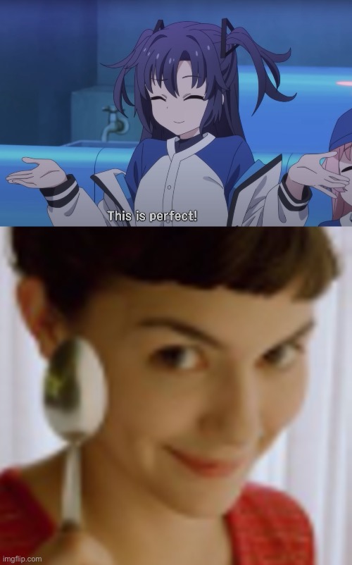 image tagged in yuuka this is perfect,fitgirl,off topic | made w/ Imgflip meme maker