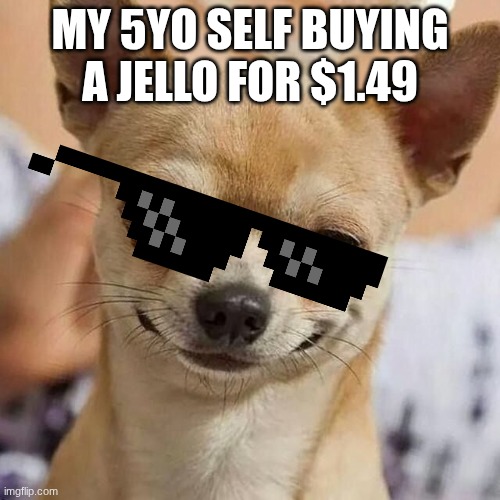 Smirking Dog | MY 5YO SELF BUYING A JELLO FOR $1.49 | image tagged in smirking dog | made w/ Imgflip meme maker