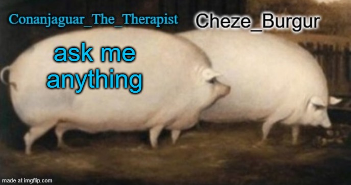 conan + cheze shared pig temp | ask me anything | image tagged in conan cheze shared pig temp | made w/ Imgflip meme maker