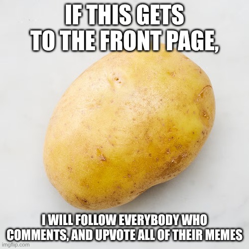 IF THIS GETS TO THE FRONT PAGE, I WILL FOLLOW EVERYBODY WHO COMMENTS, AND UPVOTE ALL OF THEIR MEMES | image tagged in potato | made w/ Imgflip meme maker