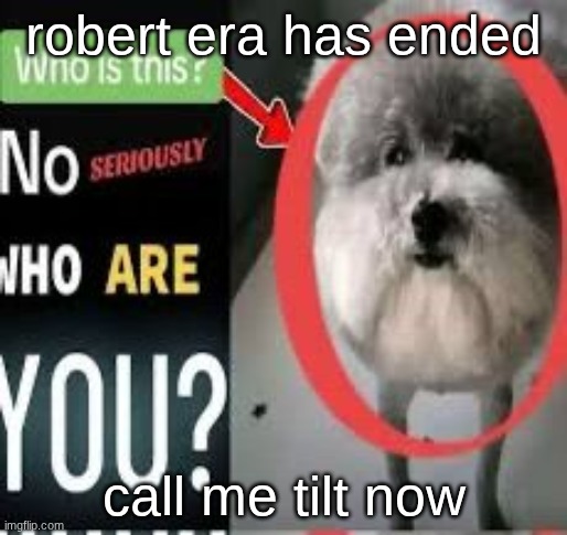 Who is this? No seriously WHO ARE YOU | robert era has ended; call me tilt now | image tagged in who is this no seriously who are you | made w/ Imgflip meme maker