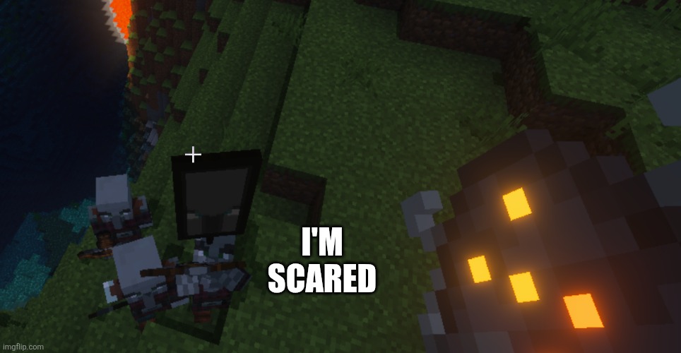 Pillager Patrol | I'M SCARED | image tagged in pillager patrol | made w/ Imgflip meme maker