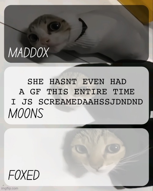 maddox, moons, n foxed kitty temp | SHE HASNT EVEN HAD A GF THIS ENTIRE TIME I JS SCREAMEDAAHSSJDNDND | image tagged in maddox moons n foxed kitty temp | made w/ Imgflip meme maker
