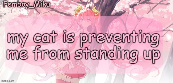 Femboy Miku sakura miku announcement | my cat is preventing me from standing up | image tagged in femboy miku sakura miku anouncment | made w/ Imgflip meme maker
