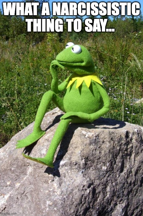 Narcissistic | WHAT A NARCISSISTIC THING TO SAY... | image tagged in kermit-thinking | made w/ Imgflip meme maker