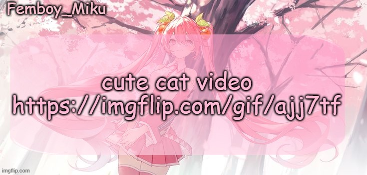 Femboy Miku sakura miku announcement | cute cat video
https://imgflip.com/gif/ajj7tf | image tagged in femboy miku sakura miku anouncment | made w/ Imgflip meme maker