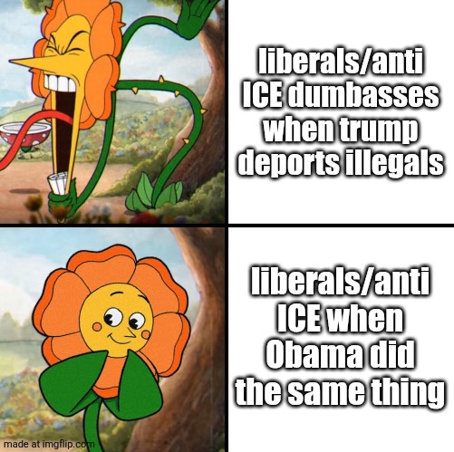 angry flower | liberals/anti ICE dumbasses when trump deports illegals; liberals/anti ICE when Obama did the same thing | image tagged in angry flower | made w/ Imgflip meme maker