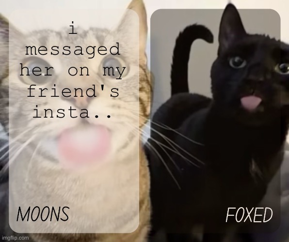 moons and foxed kitty temp | i messaged her on my friend's insta.. | image tagged in moons and foxed kitty temp | made w/ Imgflip meme maker