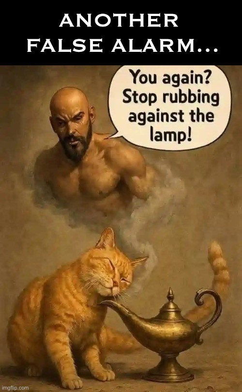 He’s the genie’s master… | ANOTHER 
FALSE ALARM… | image tagged in cats,magic lamp,genie,false alarm,rubbing against,master | made w/ Imgflip meme maker