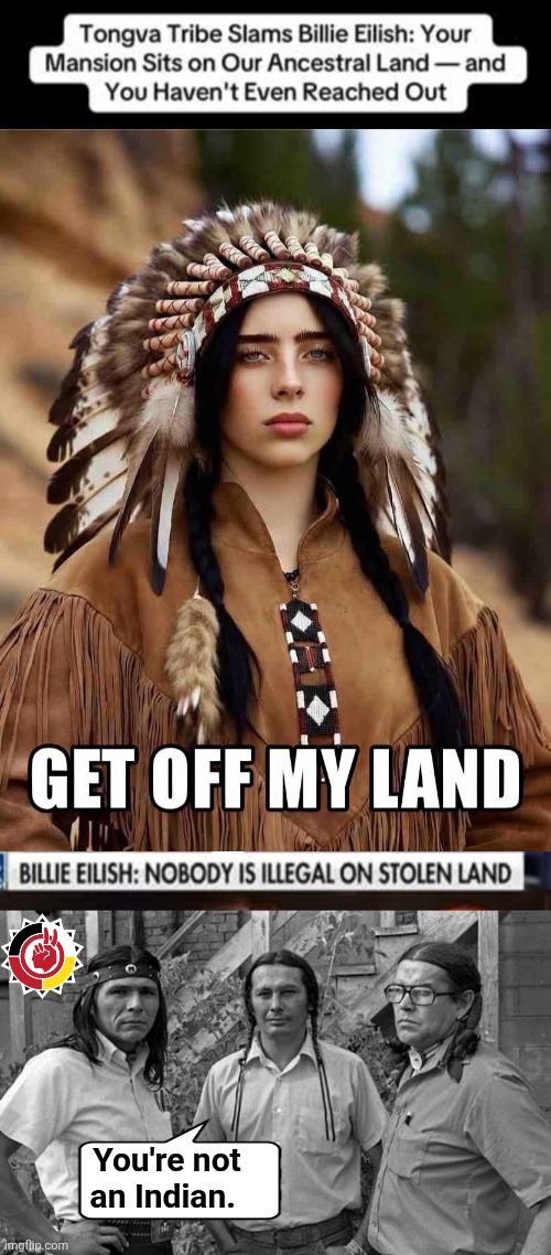 Billie Eilish vs AIM | You're not an Indian. | image tagged in billie eilish indian drag,aim | made w/ Imgflip meme maker