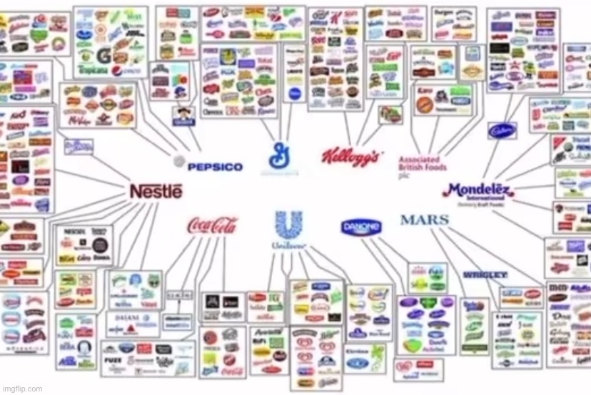 “I will never support a monopoly” we will whether we like it or not. The only way to not support them is to live in the woods | made w/ Imgflip meme maker