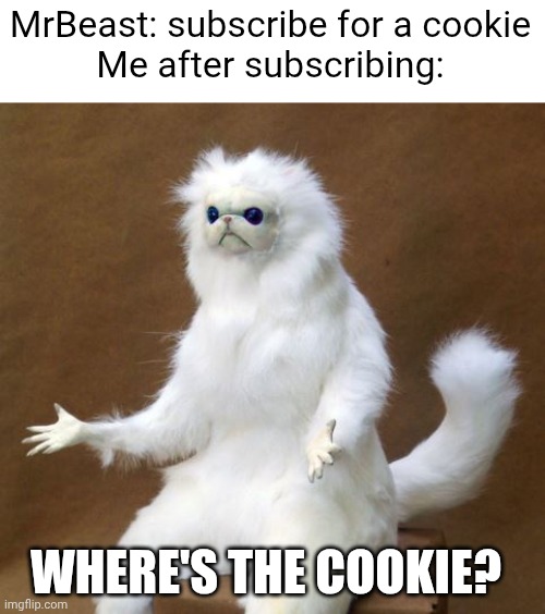 Persian white monkey | MrBeast: subscribe for a cookie
Me after subscribing:; WHERE'S THE COOKIE? | image tagged in persian white monkey | made w/ Imgflip meme maker