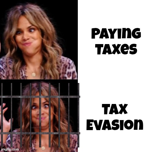 Hot Halle Berry | Paying Taxes Tax Evasion | image tagged in hot halle berry | made w/ Imgflip meme maker
