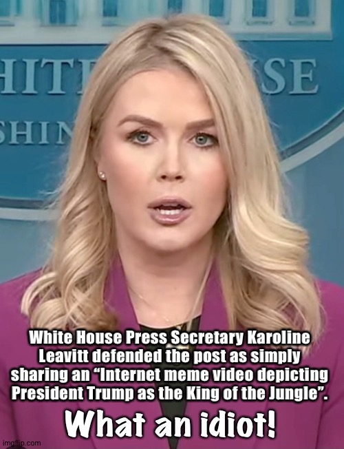 Either she's stupid as hell or she thinks everybody else is... | White House Press Secretary Karoline Leavitt defended the post as simply sharing an “Internet meme video depicting President Trump as the King of the Jungle”. What an idiot! | image tagged in karoline leavitt | made w/ Imgflip meme maker