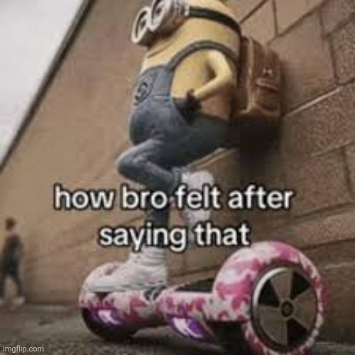 how bro felt after saying that | image tagged in how bro felt after saying that | made w/ Imgflip meme maker