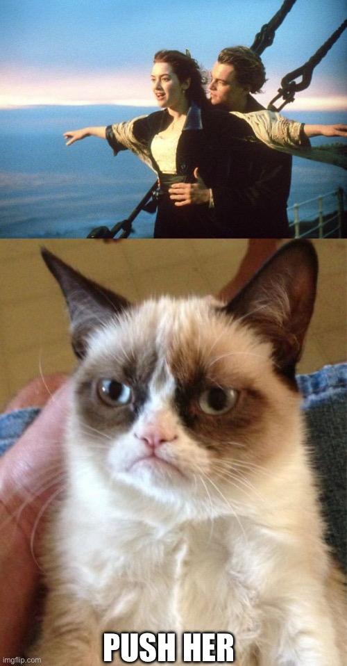PUSH HER | image tagged in titanic,memes,grumpy cat | made w/ Imgflip meme maker