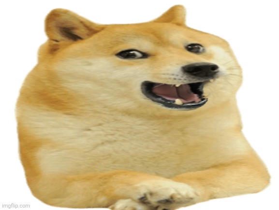 Day 6 of posting old memes | image tagged in great meme reset,the great meme reset,oh wow are you actually reading these tags,doge | made w/ Imgflip meme maker