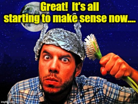 Great!  It's all starting to make sense now.... | image tagged in tinfoil hat conspiracy yo | made w/ Imgflip meme maker