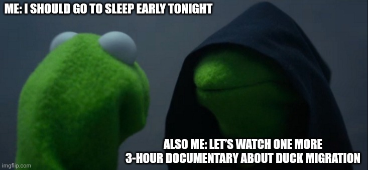 Evil Kermit | ME: I SHOULD GO TO SLEEP EARLY TONIGHT; ALSO ME: LET’S WATCH ONE MORE 3-HOUR DOCUMENTARY ABOUT DUCK MIGRATION | image tagged in memes,evil kermit | made w/ Imgflip meme maker