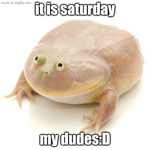its saturday!!!! | it is saturday; my dudes:D | image tagged in it is wednesday my dudes,saturday,yay,lets go,never gonna give you up | made w/ Imgflip meme maker