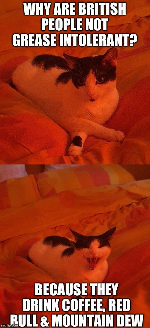 Mixing Coffee, Red Bull & Mountain Dew Can Cure & Prevent Grease Intolerance | WHY ARE BRITISH PEOPLE NOT GREASE INTOLERANT? BECAUSE THEY DRINK COFFEE, RED BULL & MOUNTAIN DEW | image tagged in bad joke luna | made w/ Imgflip meme maker