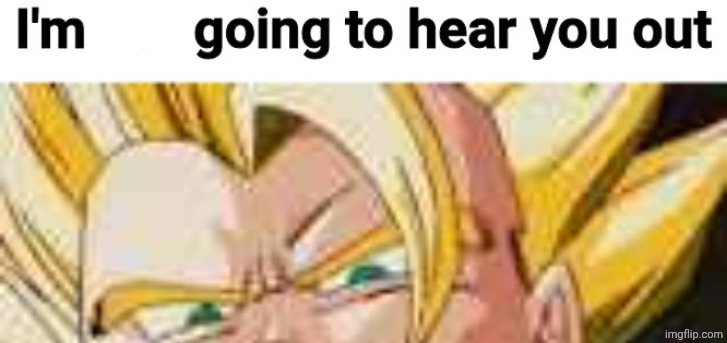I'm not going to hear you out | image tagged in i'm not going to hear you out | made w/ Imgflip meme maker