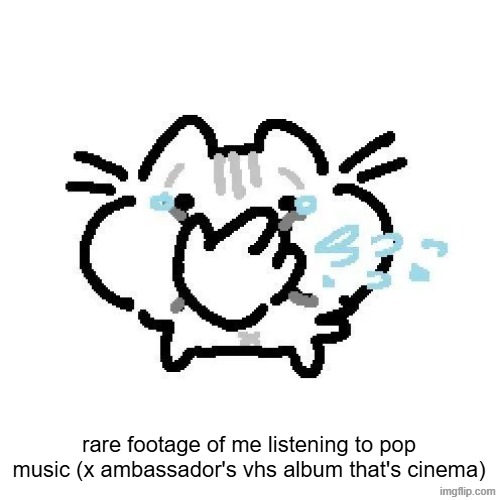 basiileaf cat laughing | rare footage of me listening to pop music (x ambassador's vhs album that's cinema) | image tagged in basiileaf cat laughing | made w/ Imgflip meme maker