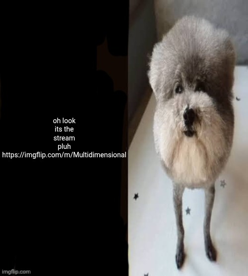 he made a statement blank | oh look its the stream pluh
https://imgflip.com/m/Multidimensional | image tagged in he made a statement blank | made w/ Imgflip meme maker
