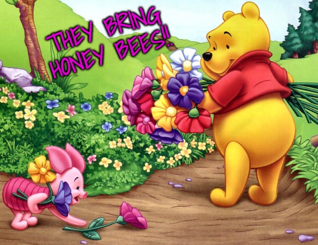 THEY BRING HONEY BEES!! | made w/ Imgflip meme maker