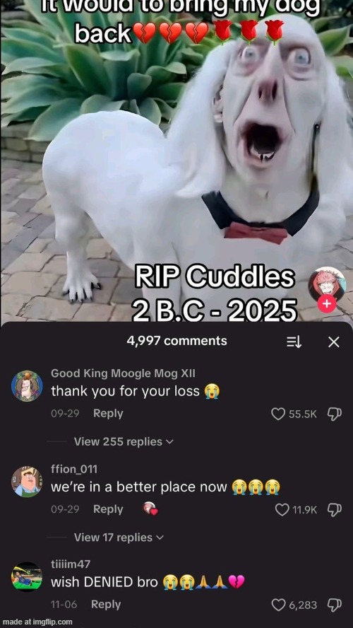 made w/ Imgflip meme maker