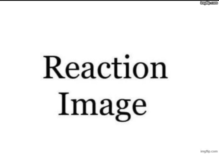 reaction image | image tagged in reaction image | made w/ Imgflip meme maker